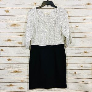 Loft V neck button front short sleeve dress 8P